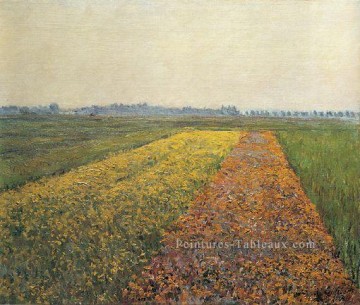 Gustave Caillebotte œuvres - Les champs jaunes à Gennevilliers paysage Gustave Caillebotte